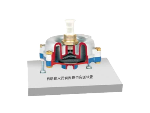 自动排水阀解剖模型实训装置